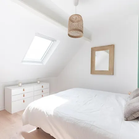 Bois Blanc - Centre-ville - Premium *